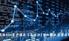 TP钱包里的BSC资产消失了怎么办？详细解决方案与